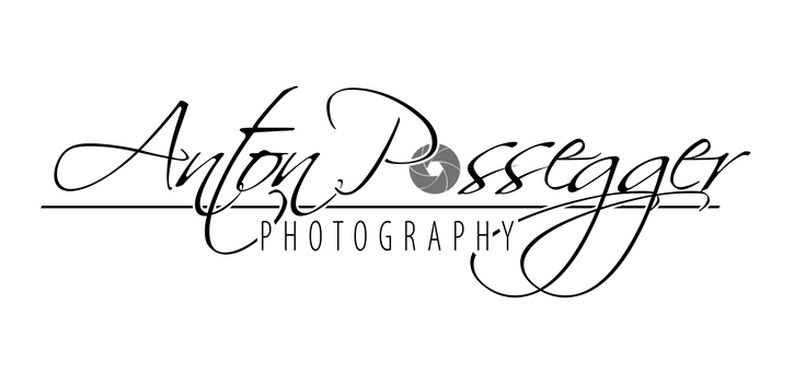Photo Logo Toni schwarz